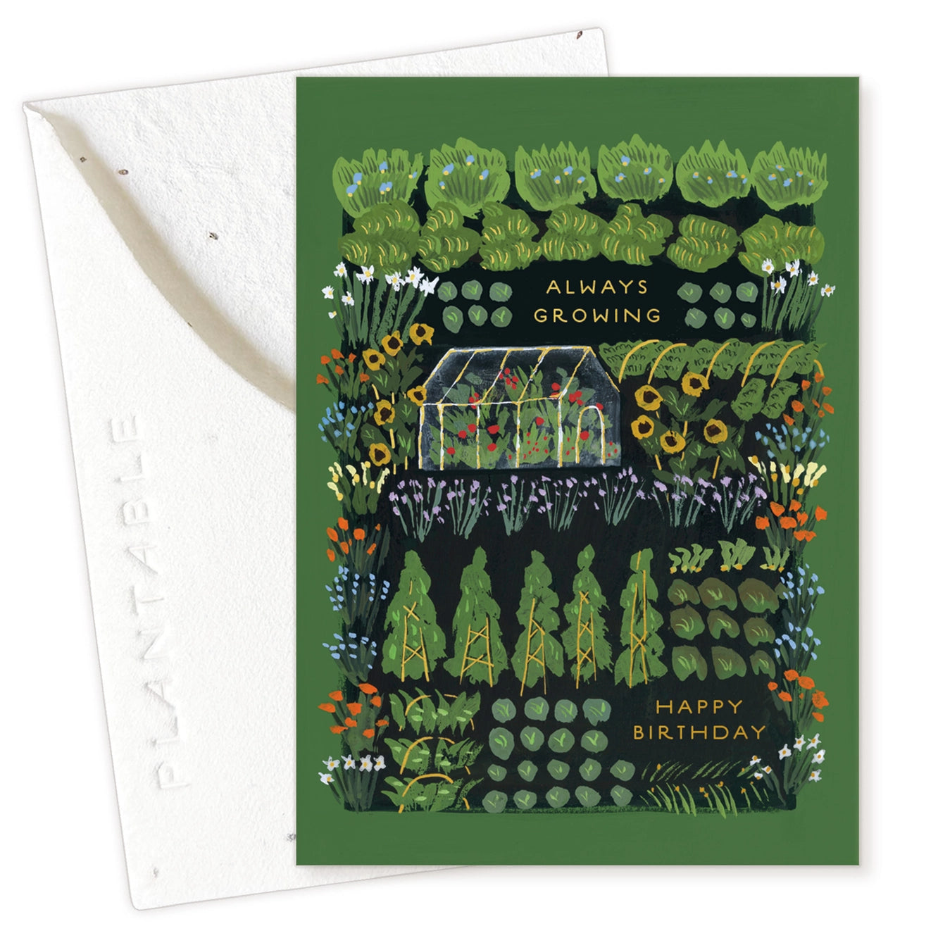 Seedlings Mini Greeting Cards