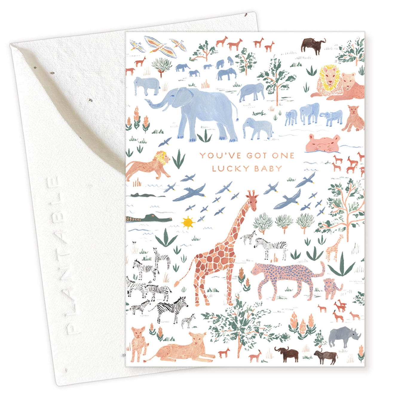 Seedlings Mini Greeting Cards