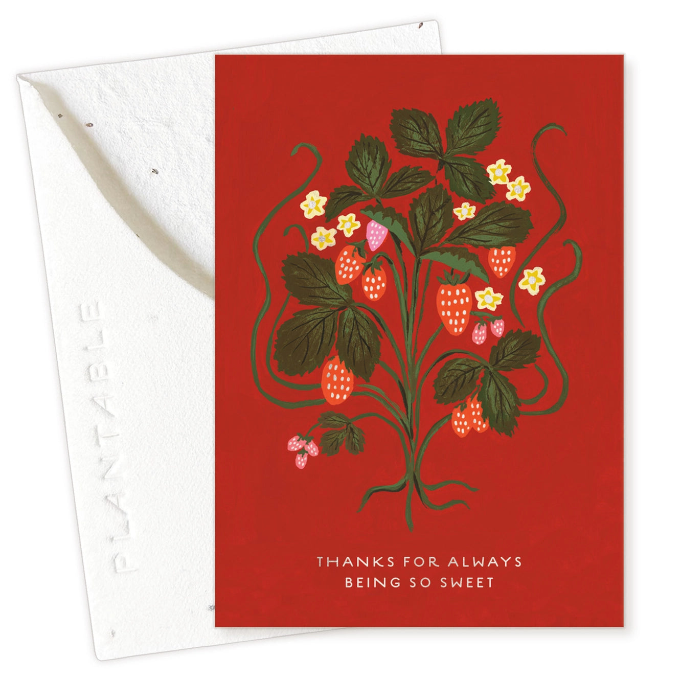 Seedlings Mini Greeting Cards