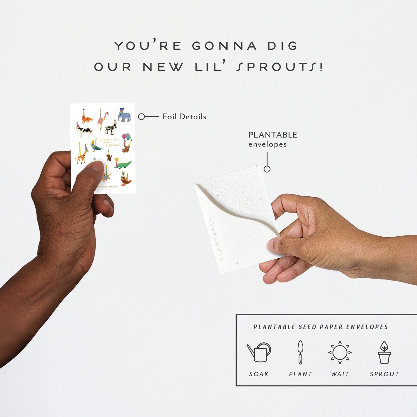 Seedlings Mini Greeting Cards