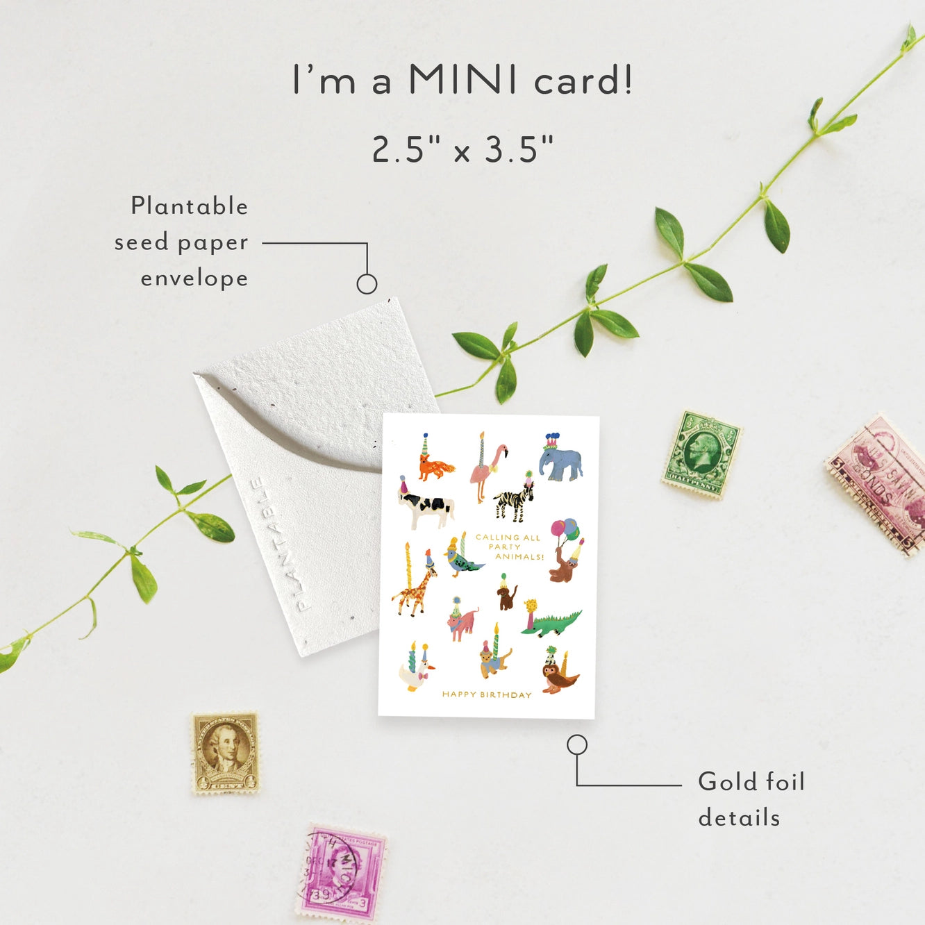 Seedlings Mini Greeting Cards