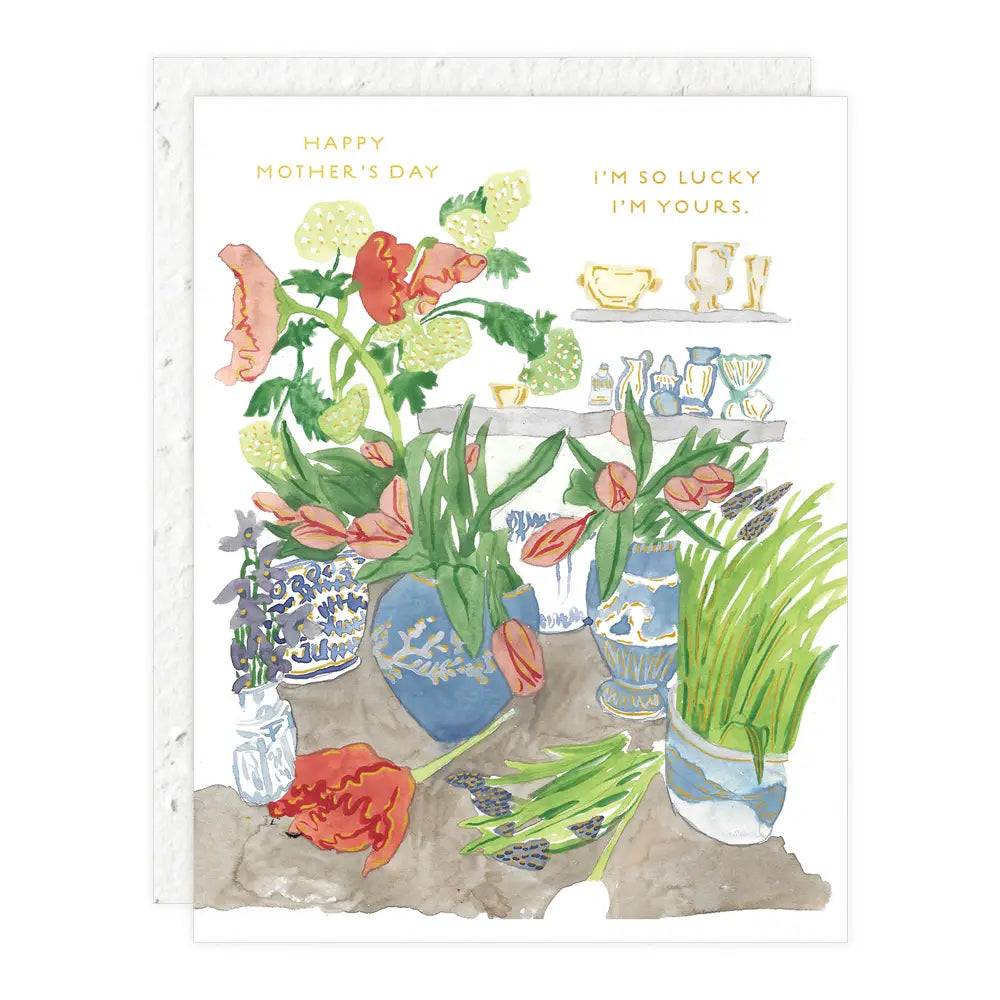 Seedlings Greeting Cards