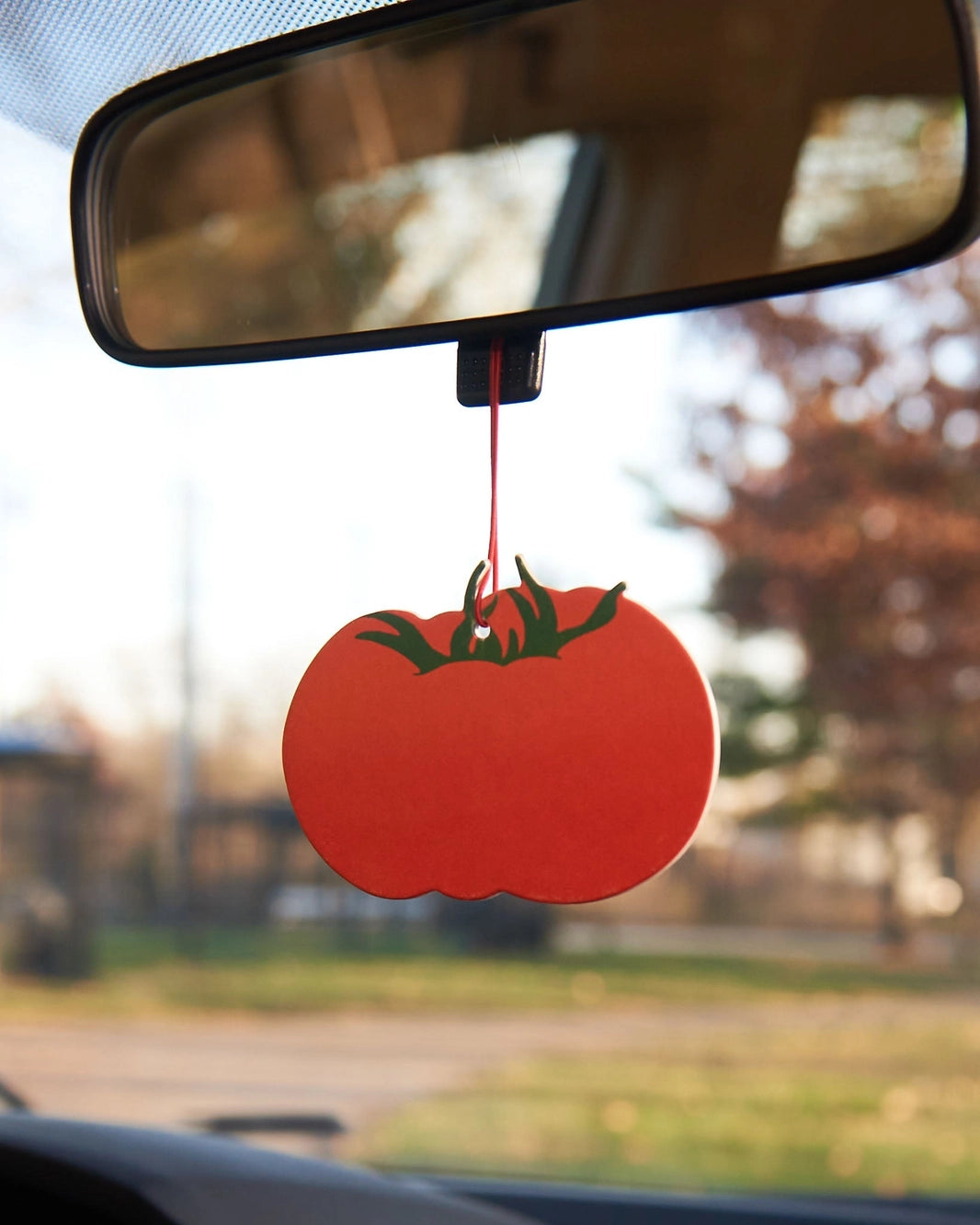 Air Fresheners - And Here We Are