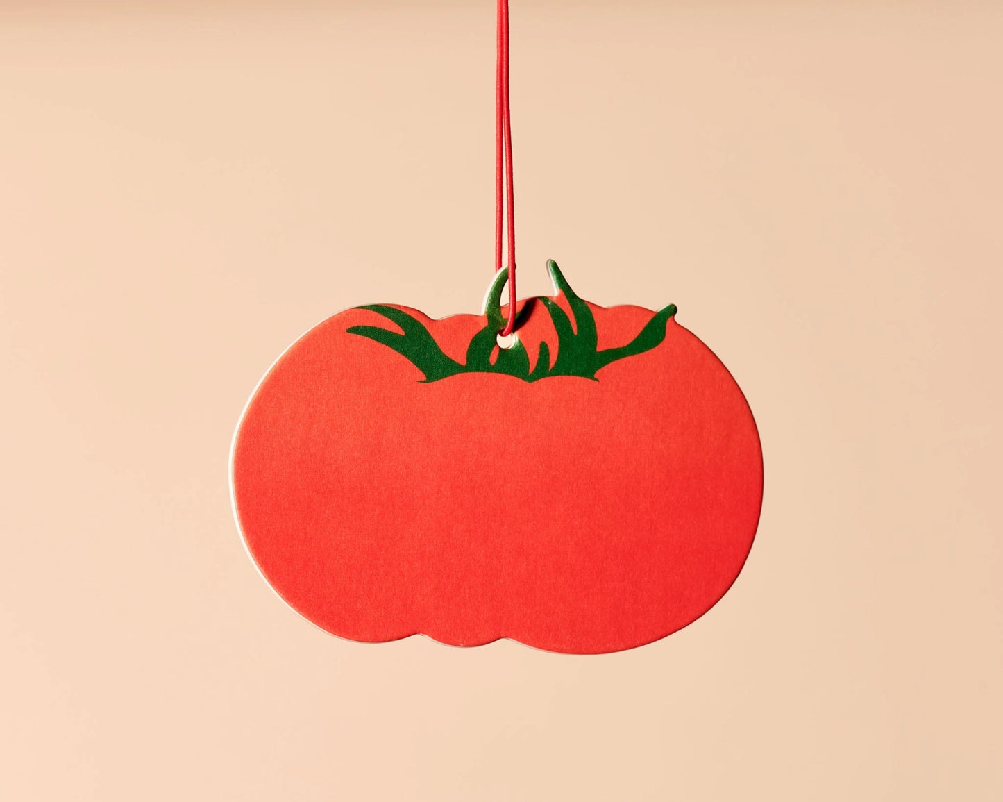 Air Fresheners - And Here We Are