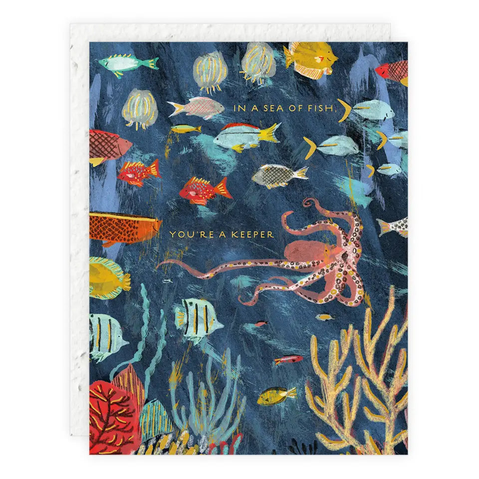 Seedlings Greeting Cards