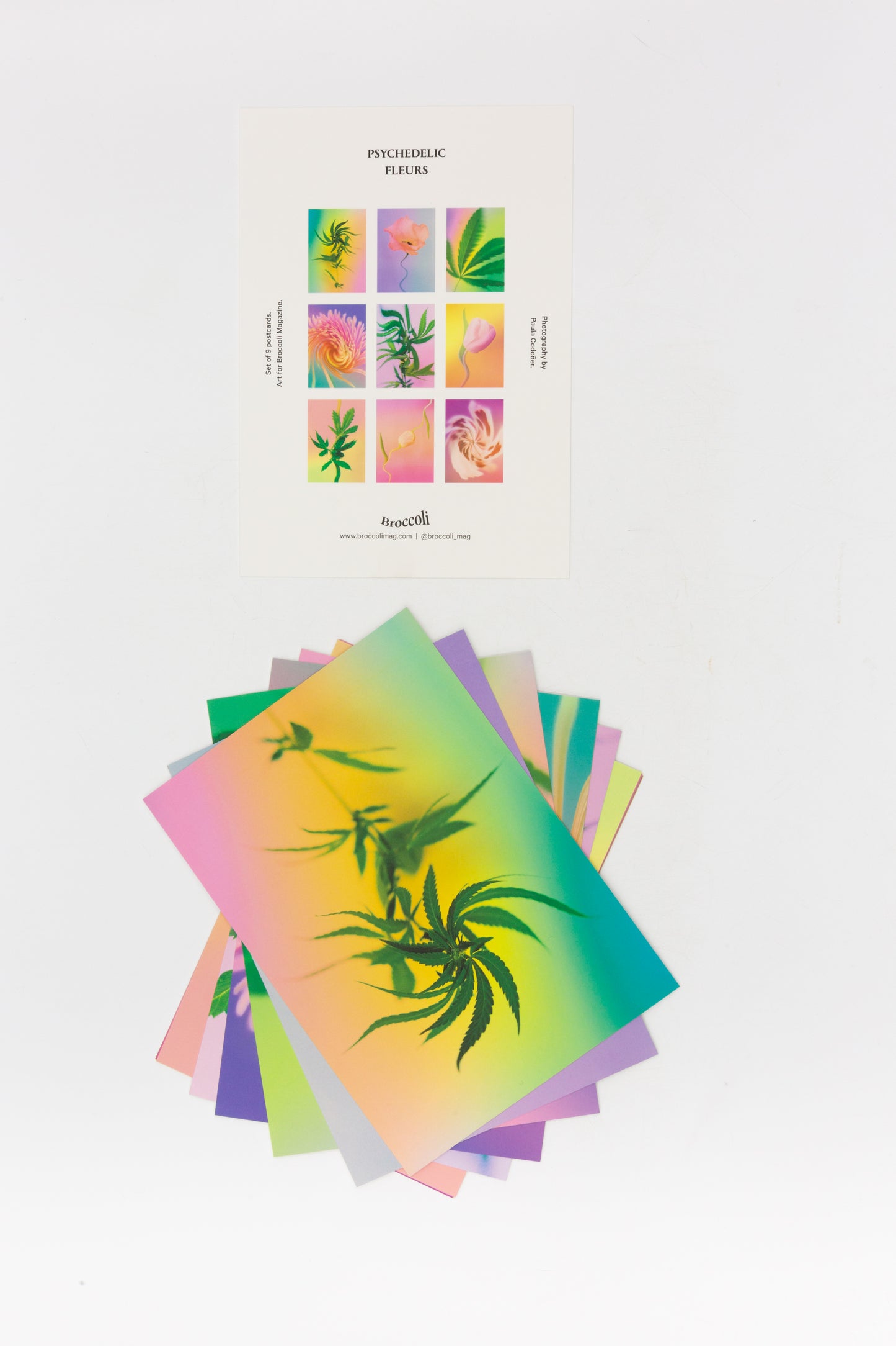 Broccoli Magazine Psychedelic Fleurs Postcard Print Set