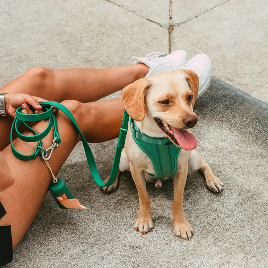 Wild One Poop Bag Carrier