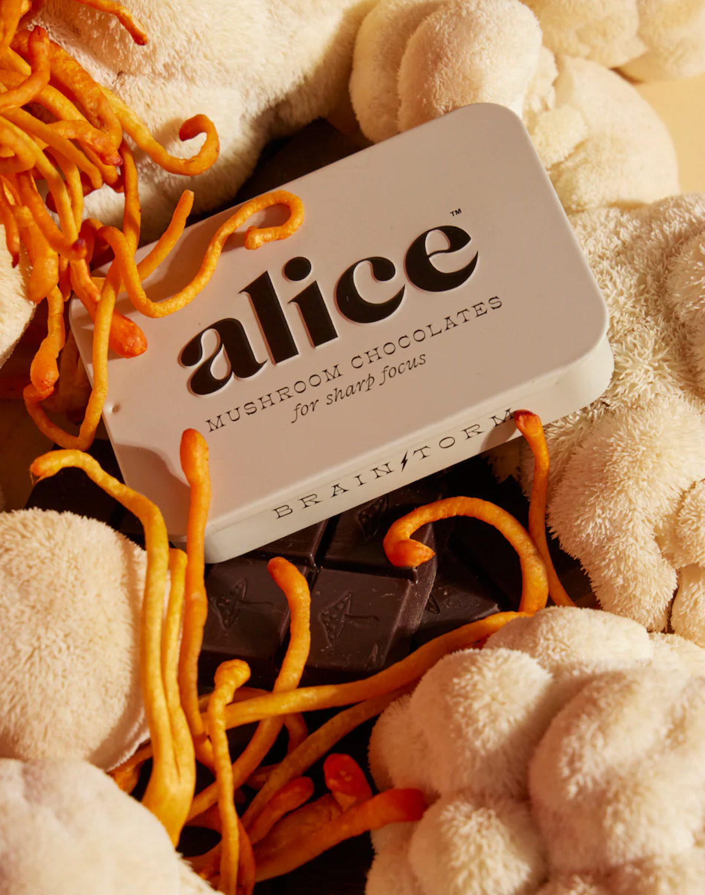 Alice Mushroom Chocolates