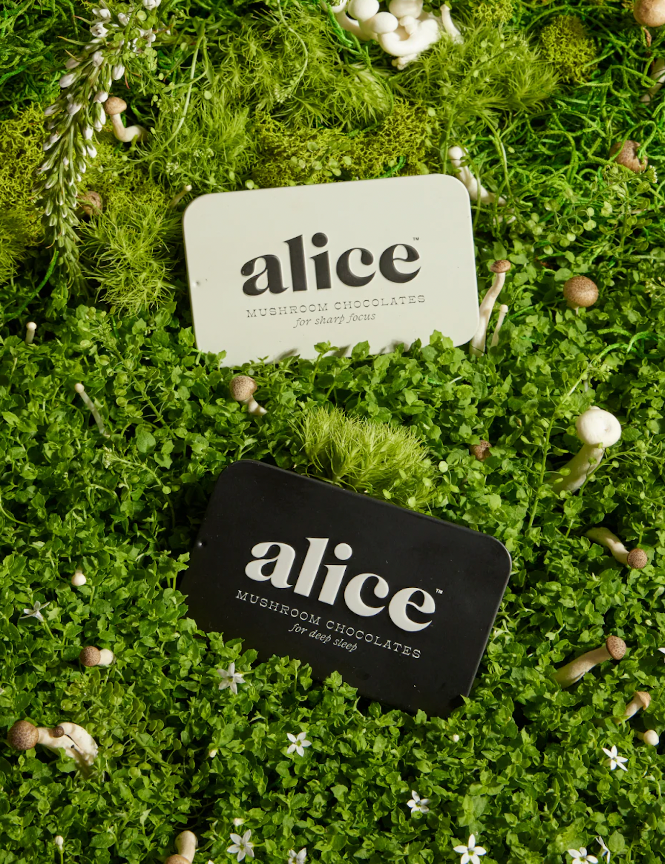 Alice Mushroom Chocolates