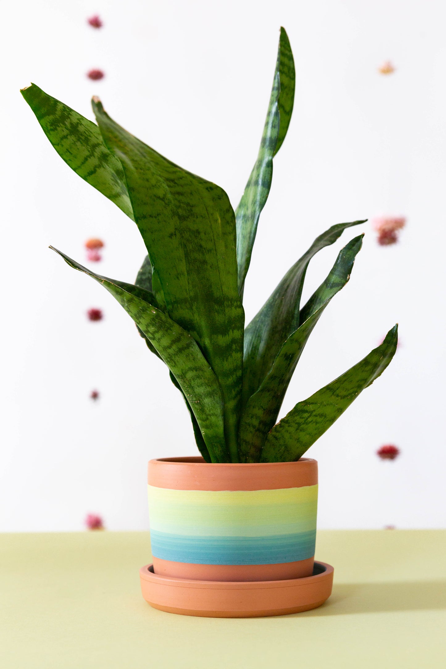 Planter 122