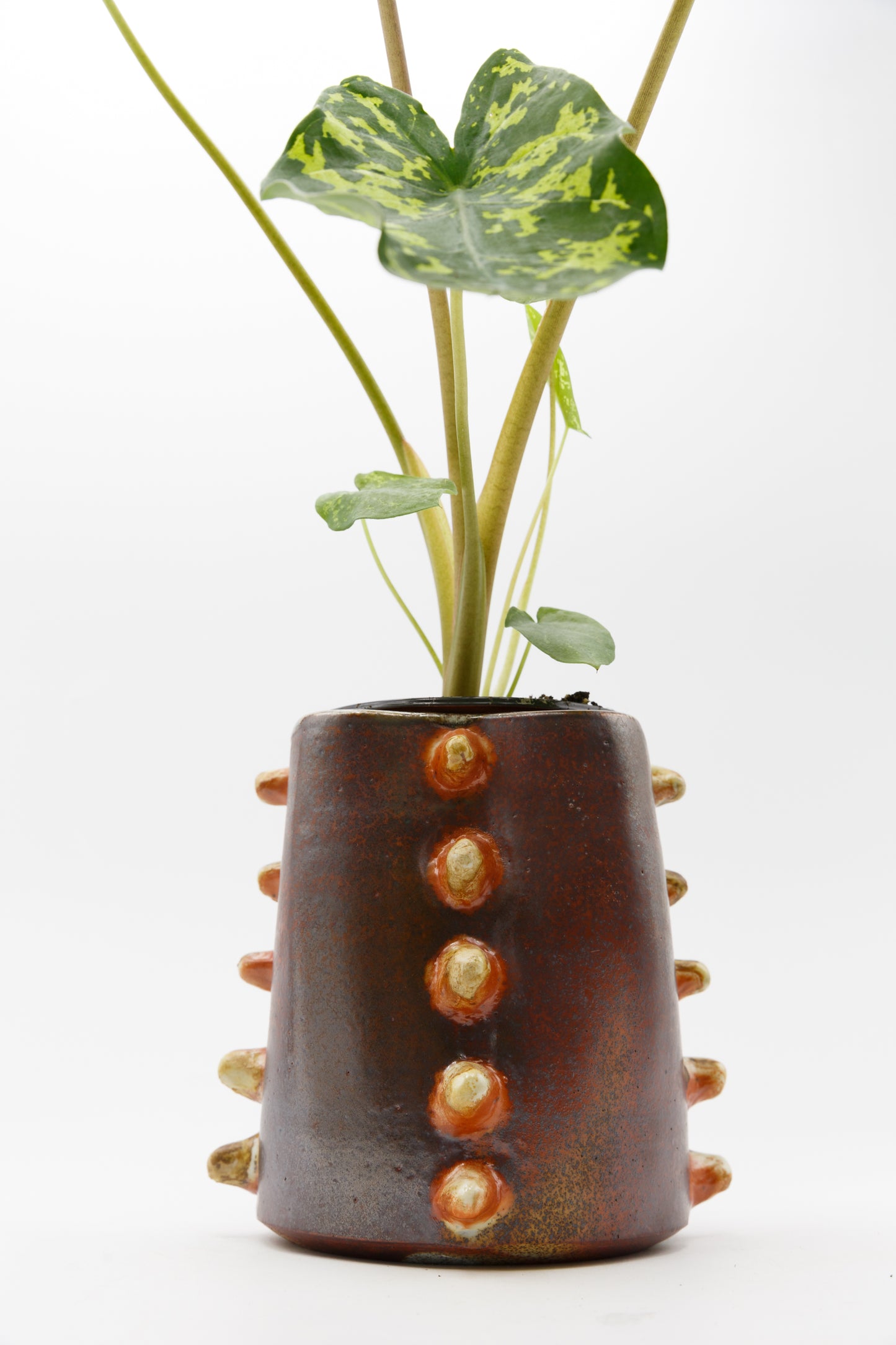 Wood Fired Planter 004